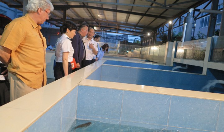 代表團到訪供港澳水產配送中心考察