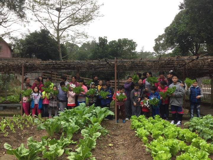 356-%e5%8f%83%e8%88%87%e5%b8%82%e6%b0%91%e5%85%b1%e5%90%8c%e9%ab%94%e9%a9%97%e8%87%aa%e7%84%b6%e7%9a%84%e6%a8%82%e8%b6%a3