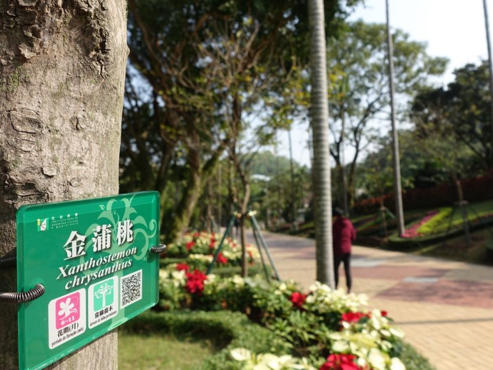 186 新式樣樹木介紹牌設有二維碼