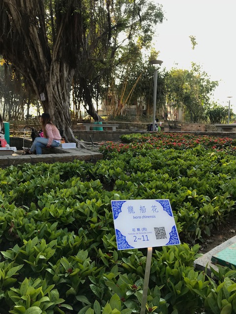 186 葡國磚植物介紹牌