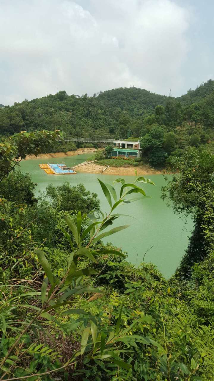 301591193491_.pic_hd