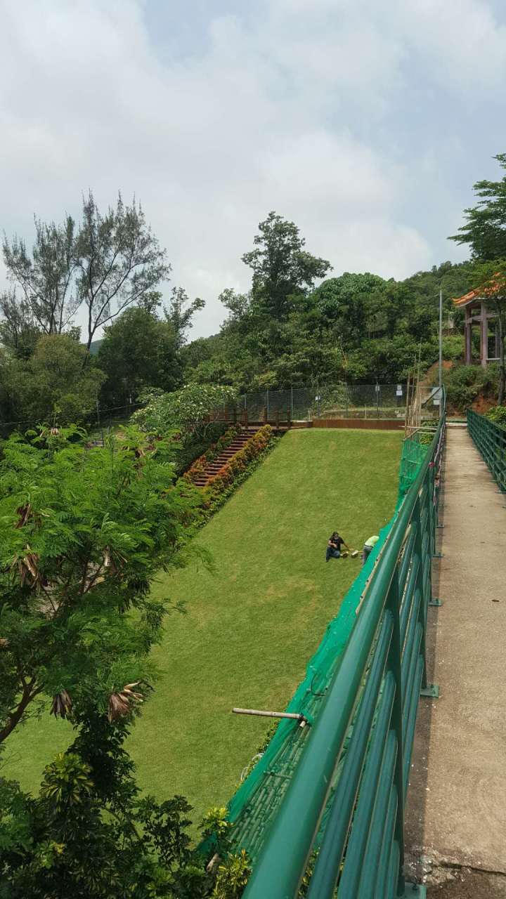 351591193519_.pic_hd