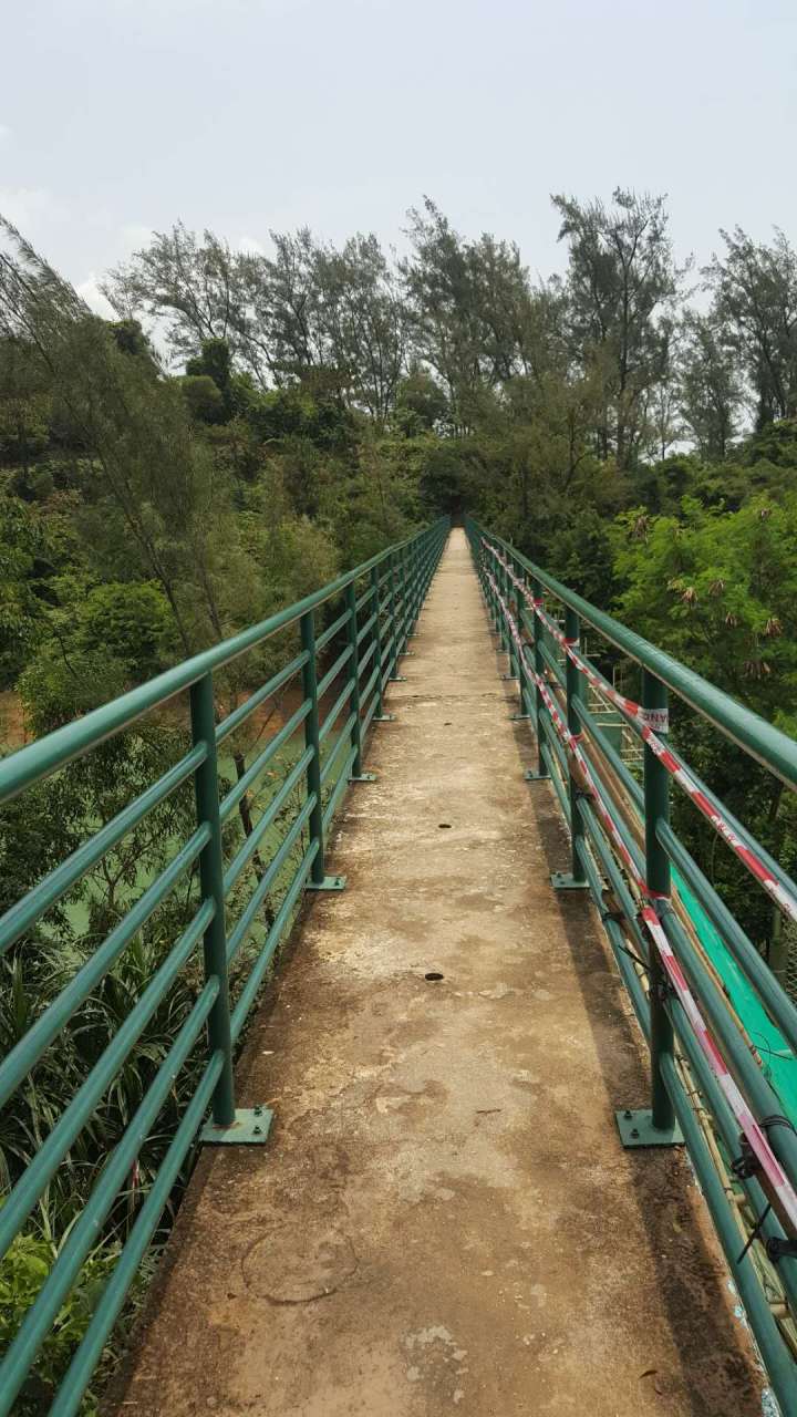 371591193528_.pic_hd