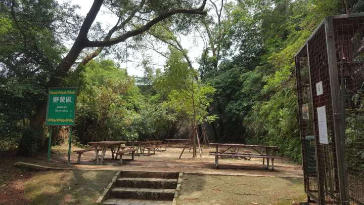 381591193534_.pic_hd