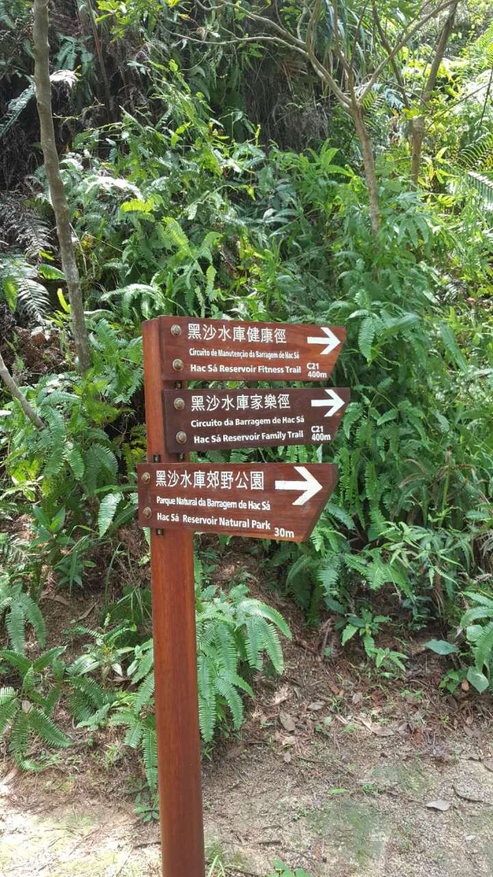 391591193539_.pic_hd