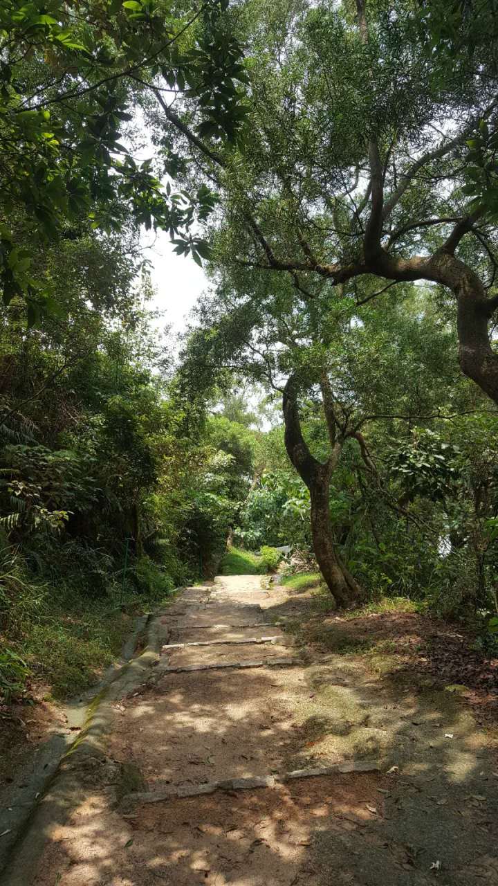 401591193547_.pic_hd