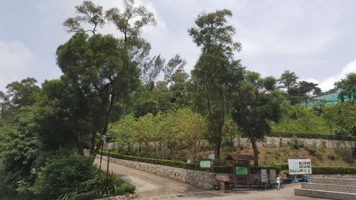 471591193589_.pic_hd