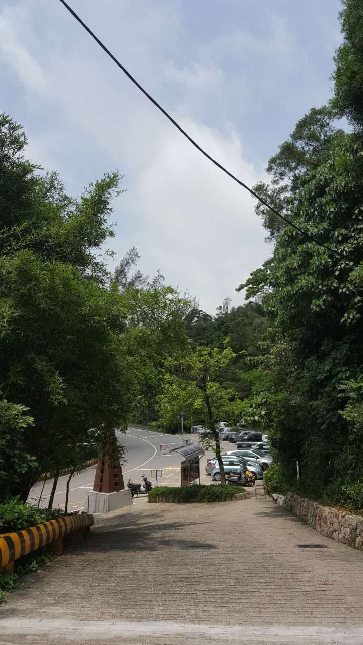 481591193594_.pic_hd