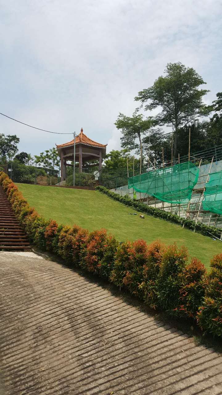 511591193612_.pic_hd