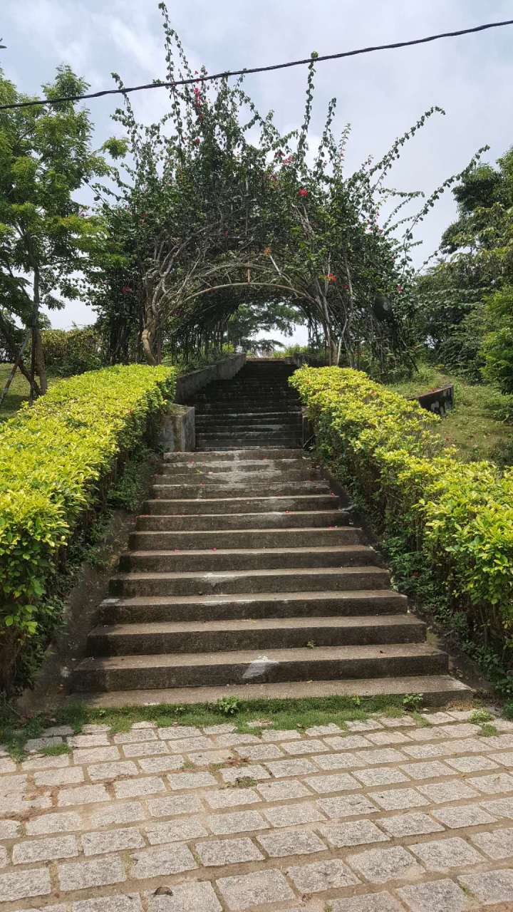 521591193618_.pic_hd