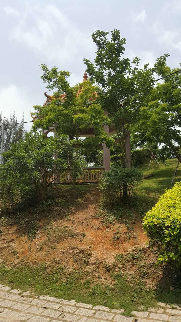 531591193623_.pic_hd