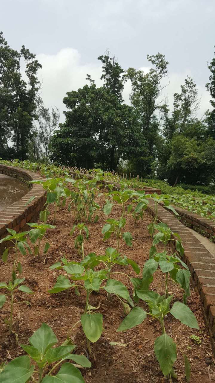 561591193638_.pic_hd