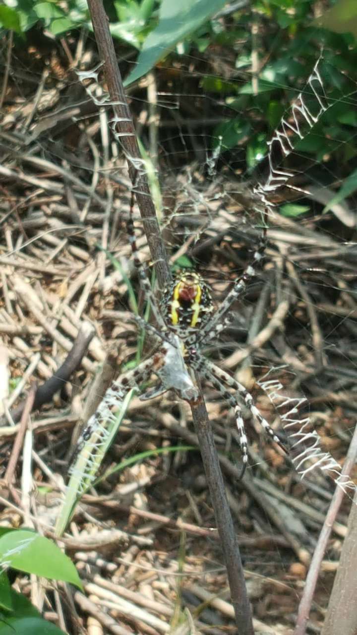 571591193643_.pic_hd