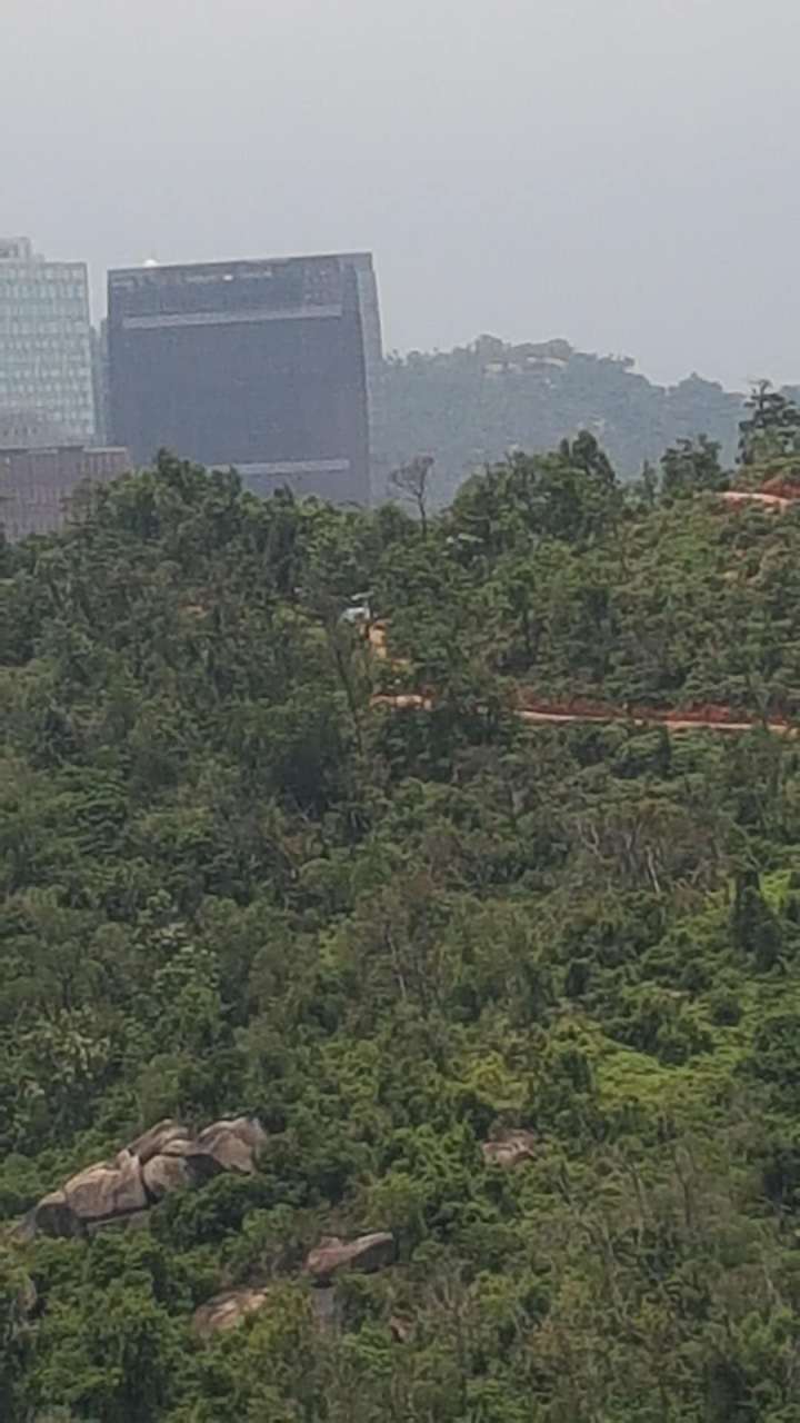 591591193653_.pic_hd