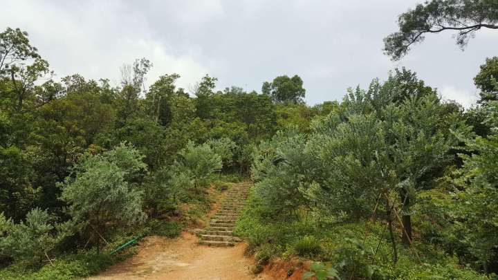 601591193659_.pic_hd