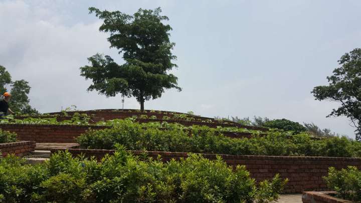 611591193664_.pic_hd