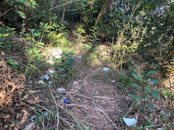 亂拋垃圾影響環境衛生