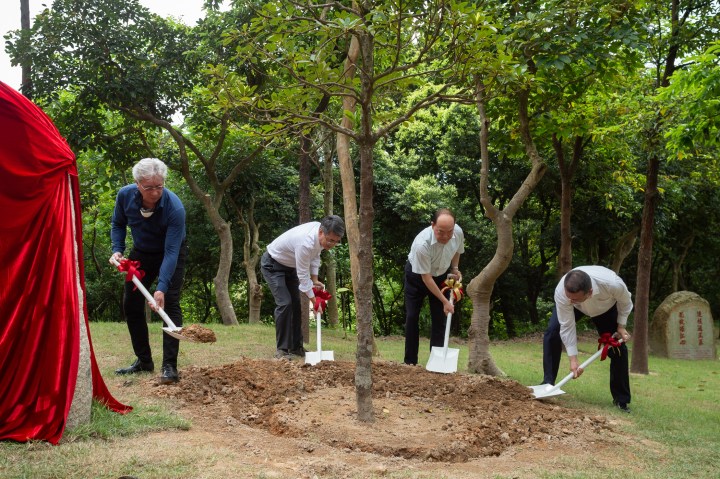 行政長官賀一誠在行政法務司司長張永春、市政署市政管理委員會主席戴祖義及市政署市政諮詢委員會主席司徒民義陪同下，栽種中華楠”幼樹。