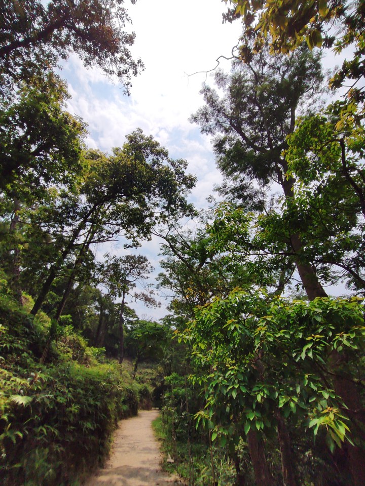 2711593581642_.pic_hd