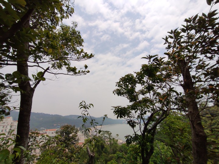 2721593581647_.pic_hd