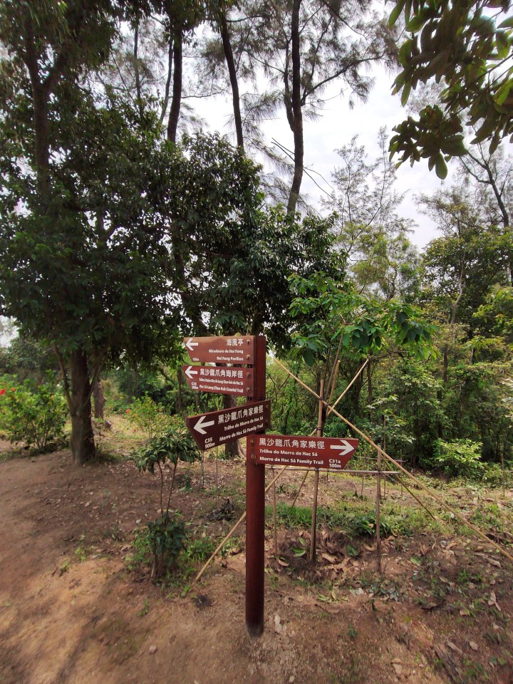 2781593581681_.pic_hd