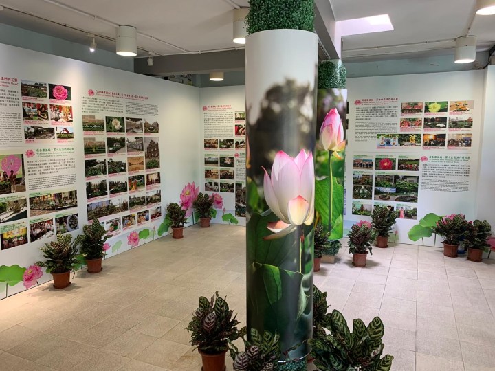 344 「回顧歷屆澳門荷花節」圖文展